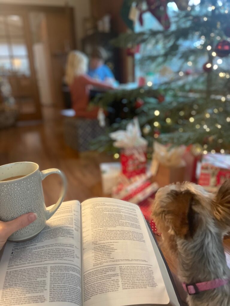 Clean rental and Peace of Mind | Three Trees Cleaning in Grants Pass, Oregon